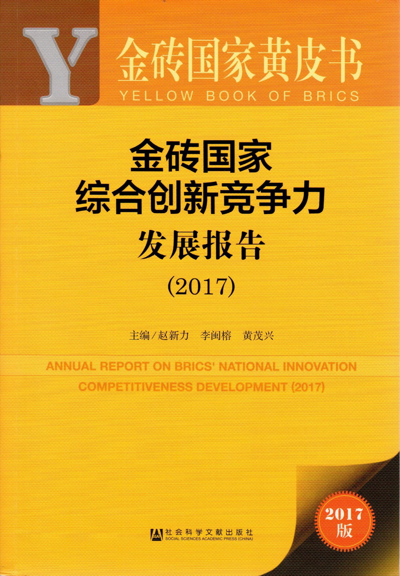 国产日逼黄色网站金砖国家综合创新竞争力发展报告（2017）